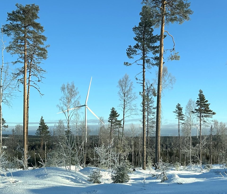 a snowy forest with trees and wind turbines