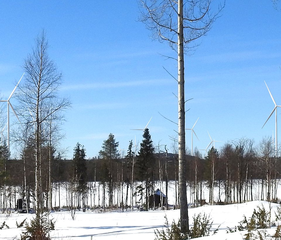 a snowy landscape with trees a snowy landscape with trees