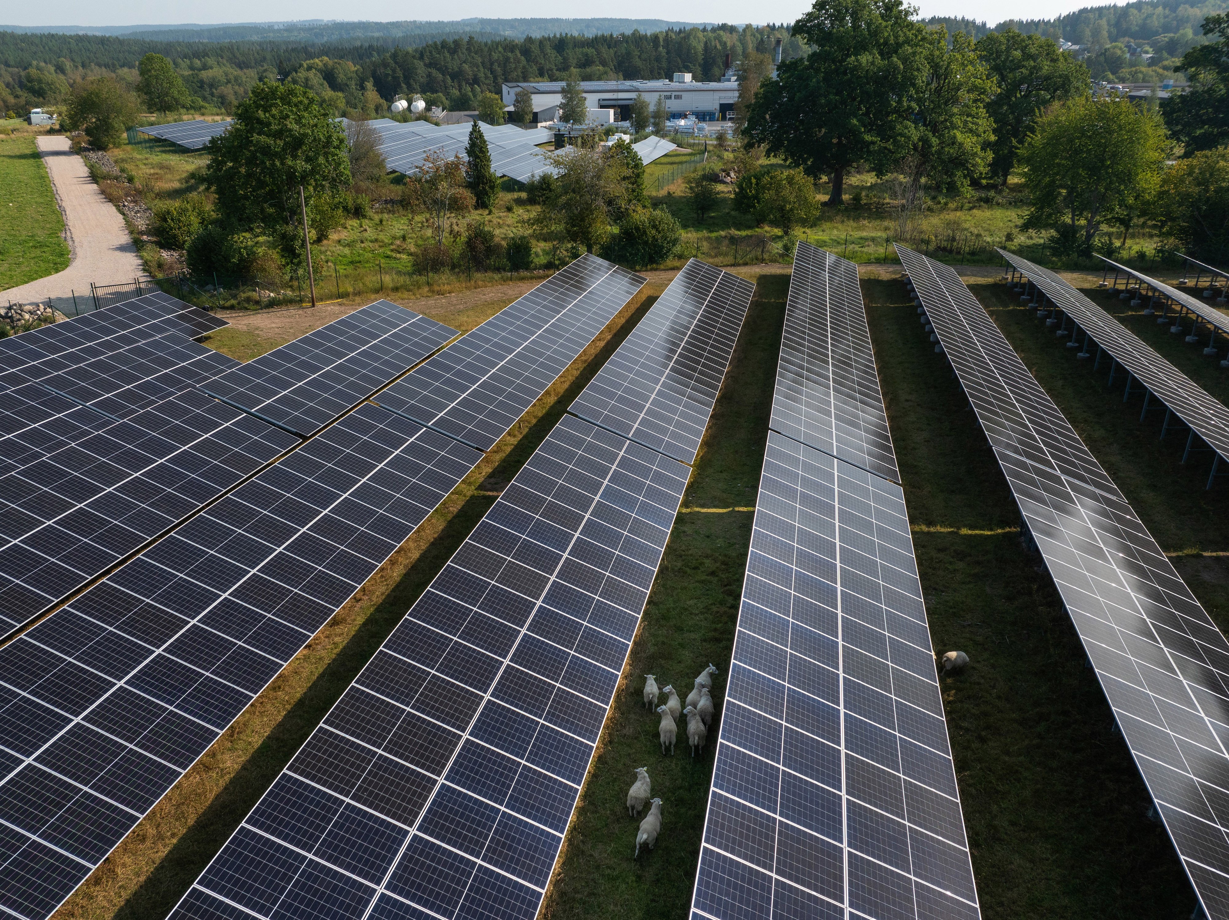 a group of solar panels in a field