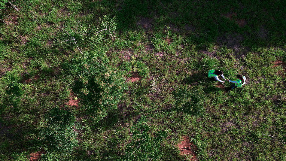 Hydro Rein employees overseeing compensatory reforestation efforts at the Boa Sorte solar complex in Minas Gerais, Brazil
