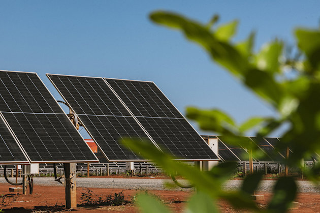 a group of buildings with trees in front of them